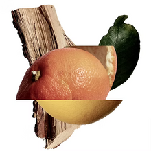 Carica l&#39;immagine nel visualizzatore di Gallery, Akigala Mandarino New Notes