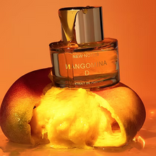 Carica l&#39;immagine nel visualizzatore di Gallery, Mangomina D New Notes